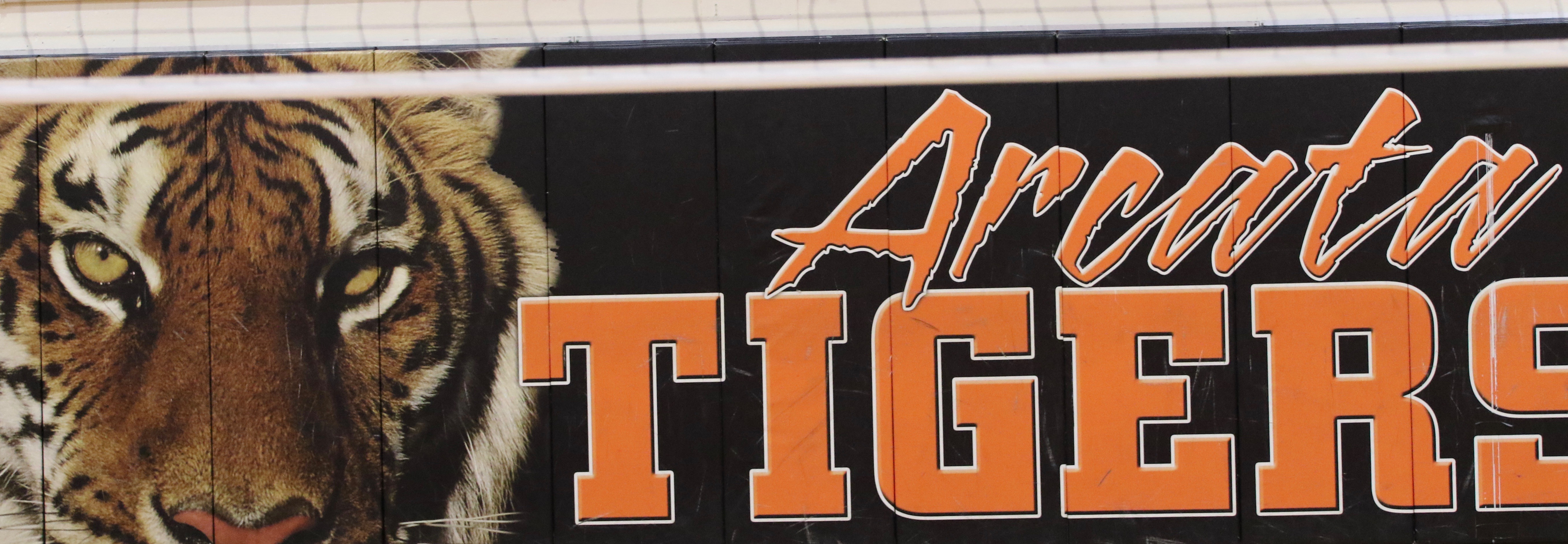Tigers appear ready to challenge for a league title – HumboldtSports.com